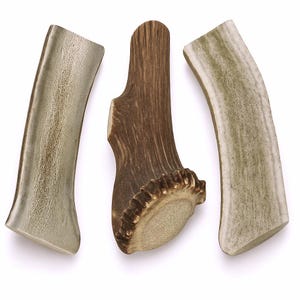 May include: Three pieces of natural antler, likely for dog chews, are arranged on a white background. The pieces vary in color from light tan to dark brown, with textured surfaces and curved shapes. The center piece has a visible base.
