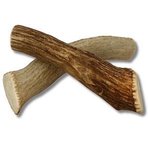 MONSTER XXL Antler Dog Chew - HUGE Antlers for Large Dogs - Cruelty Free - Premium Grade A