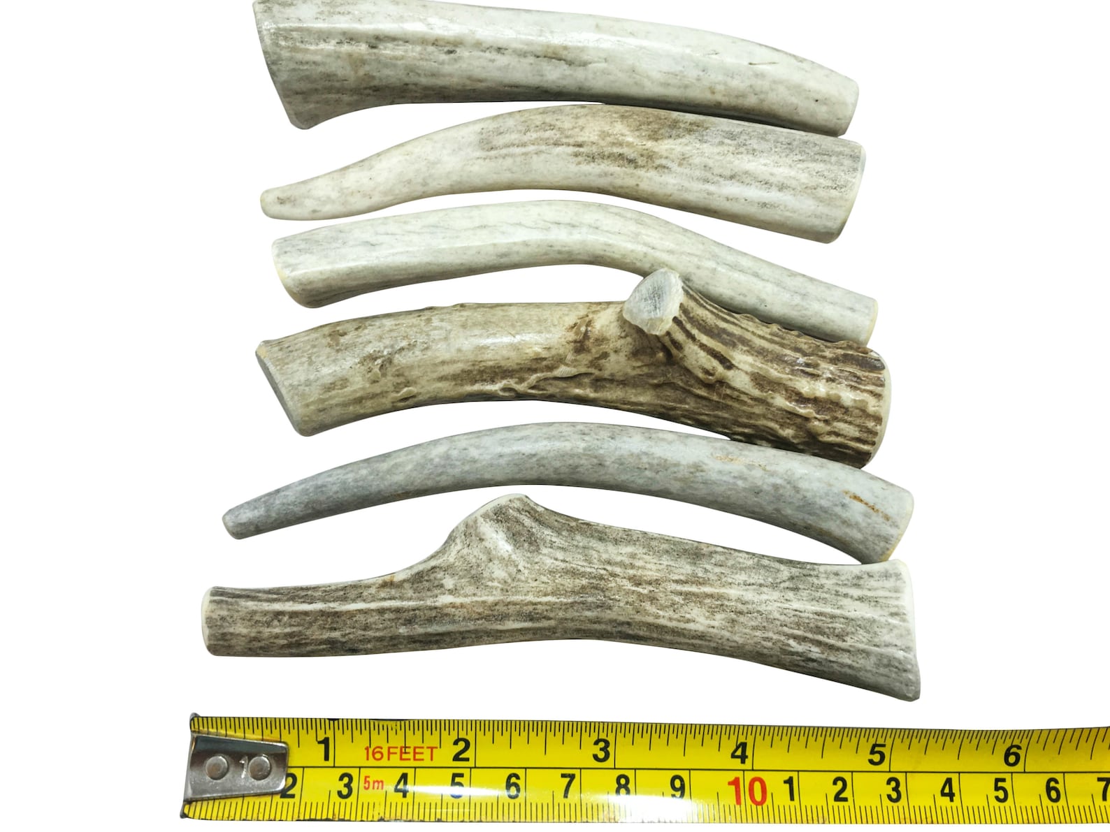 6 Packsmall Deer Antler for Dogs All Natural Dog Chew Etsy