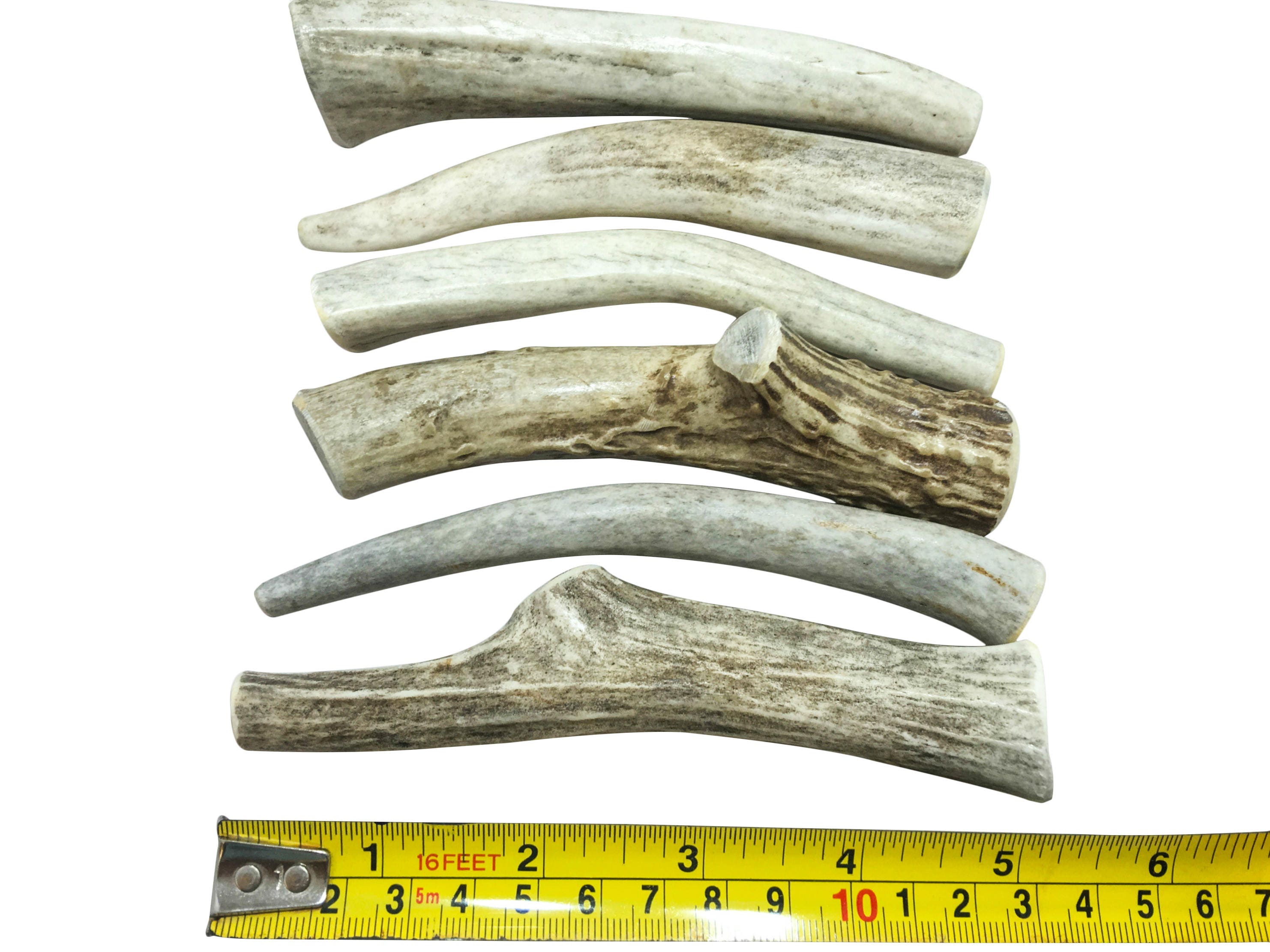 6 PackSmall Deer Antler for Dogs All Natural Dog Chew Etsy
