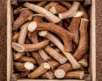 Bulk Deer Antlers for Dogs- (A Grade) Naturally Shed, Wild Sourced- Sold by the Pound
