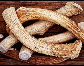 Bulk by the Pound | Deer Antlers for Dogs | Organic Antler Dog Chews |Naturally Shed, USA Sourced- Cruelty Free