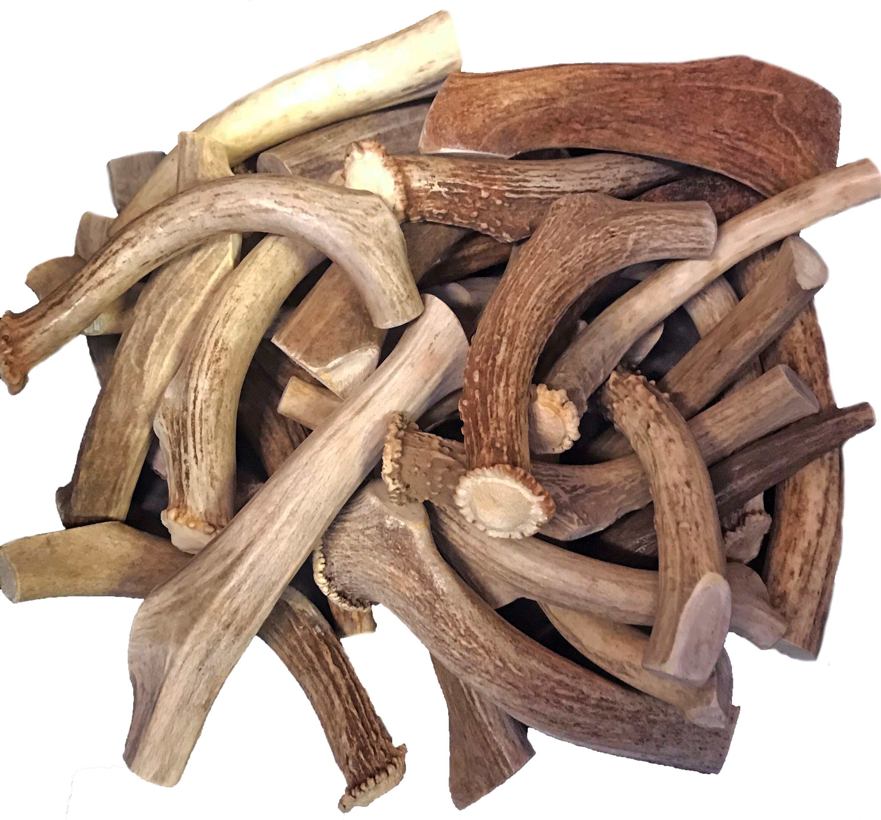 Antlers by the POUND Premium Deer Antler Pieces Dog Chews Etsy