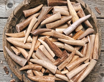 Bulk Packs - Small Polished Deer Antler Crafting Tips /Tines/Points/Pendant - Size 1" To 2.5" Long - GRADE A