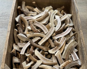 Bulk Split Deer Antlers for Dogs: Sold by the Pound | Grade A | Naturally Shed