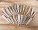 12 | Drilled Hole  Antler Tips/Points/Tines/Pendants | Premium Grade A | Pick Your Size 