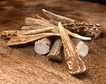 Gnarly Deer Antler Tips, Grade A,Deer Brow Tines, for Jewelry Making & Crafts