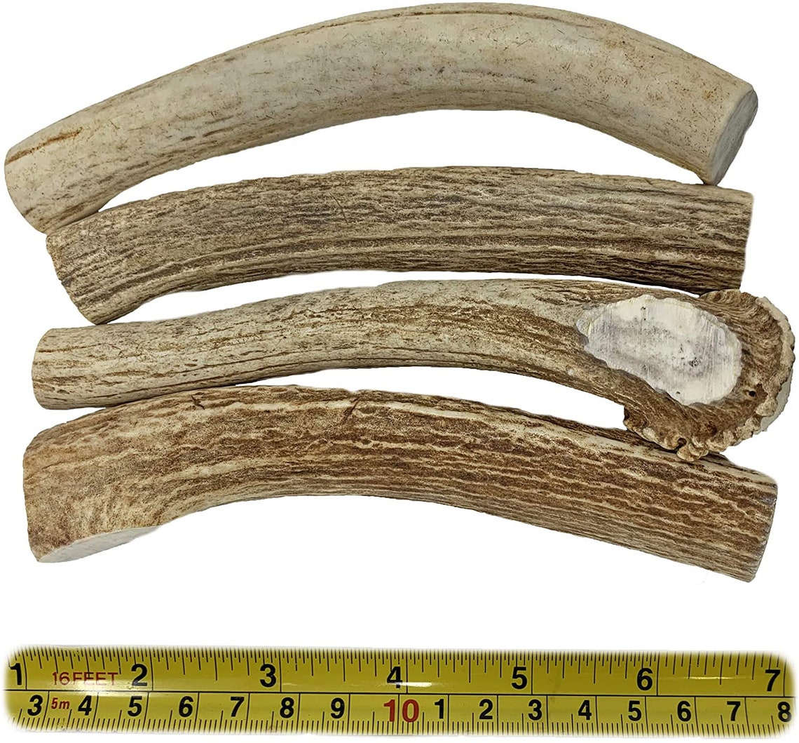 Bulk by the Pound Axis Deer Antlers for Dogs Naturally Etsy