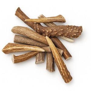 Gnarly Antler Polished Tips, Pendants - Choose Size & Quantity - Premium Grade A Deer Antler Brow Tines for Jewelry Making, Antler Crafts