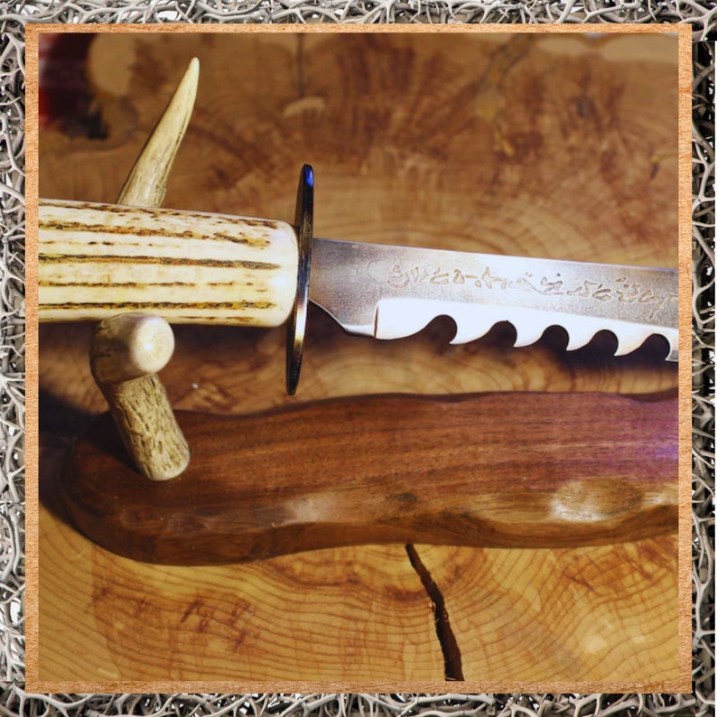 Jumbo AXIS Deer Antlers W/ Shed Burr - Knife Handle Skins or Pipe Blank Bulk Craft bild 4