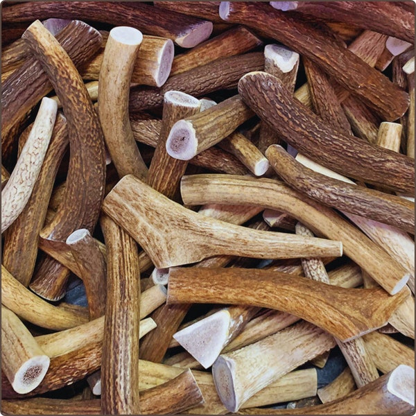 Bulk Pound Packs- WHOLE Elk Antlers for Dogs | Natural Shed Antlers | Grade A