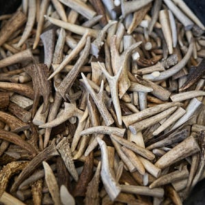 May include: A close-up shot of a pile of deer antlers, showcasing a variety of shapes and sizes. The antlers range in color from light beige to dark brown, with textured surfaces and branching structures. The image highlights the natural patterns and organic forms of the antlers.