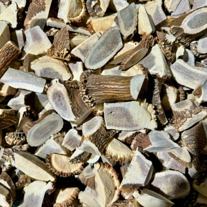 5 lbs Bulk Deer Elk Antler Scraps Pieces -Tips-Chunks -Chinese Medicine -Crafts