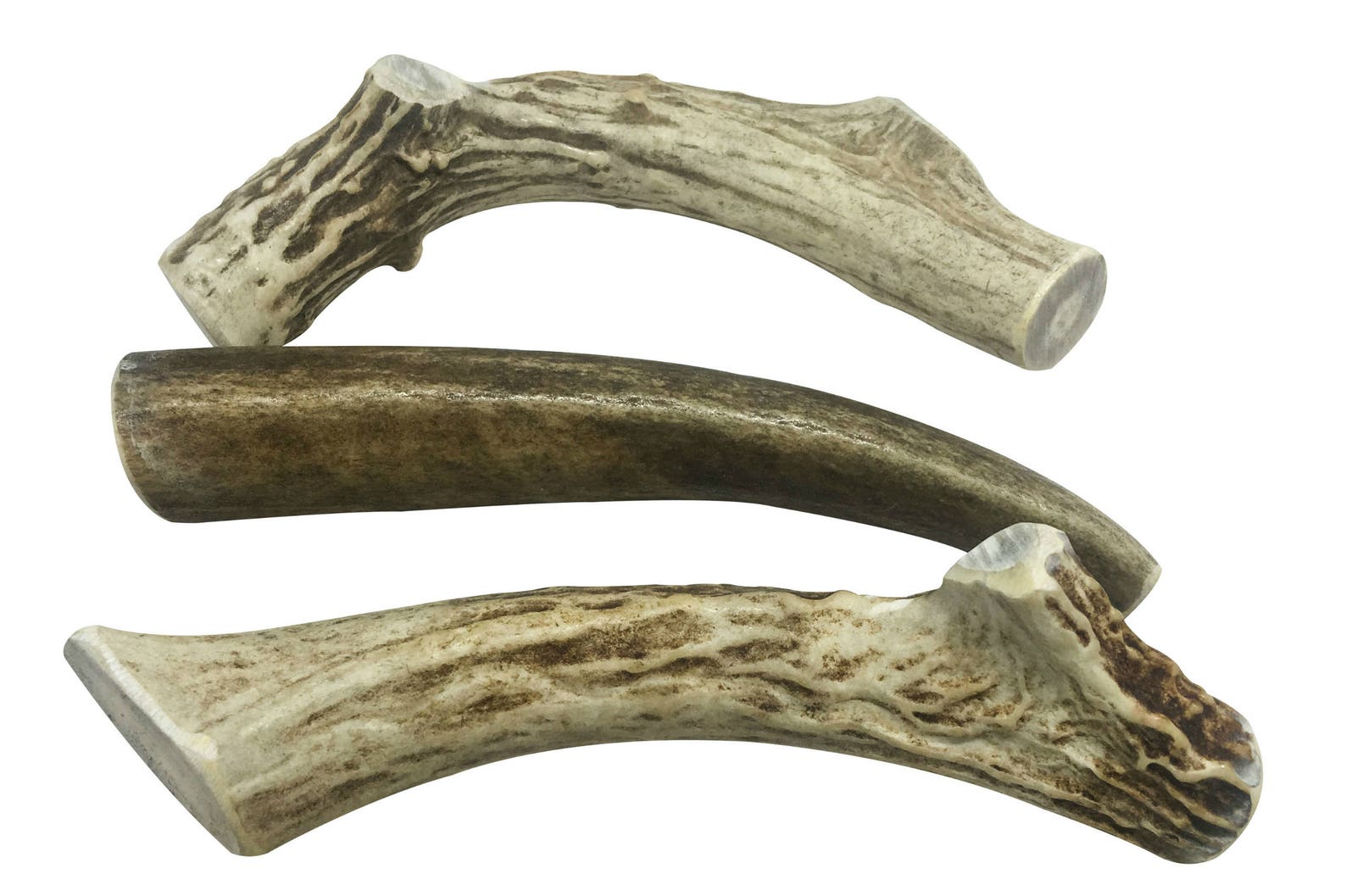 3 Pack Medium Deer Antler for Dogs All Natural Dog Chew Etsy