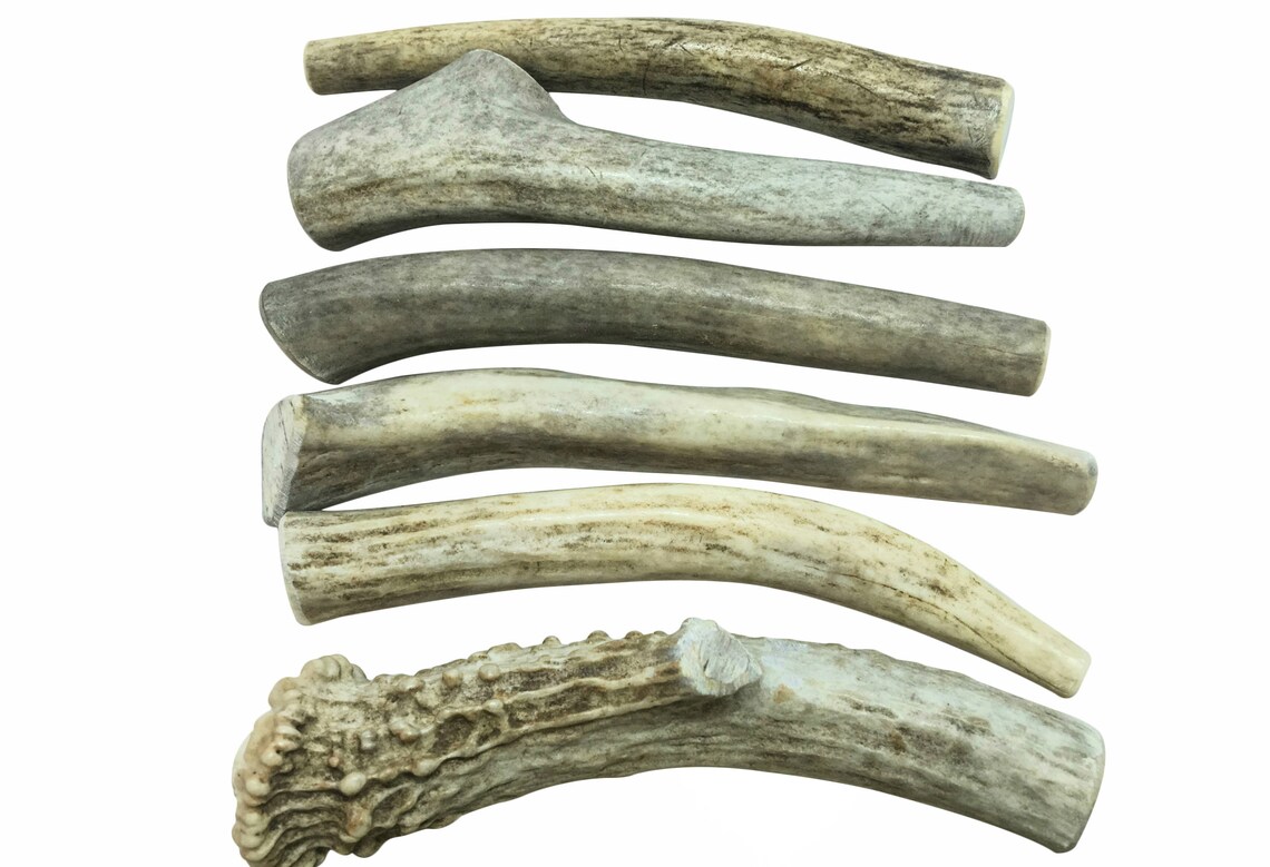 6 Packsmall Deer Antler for Dogs All Natural Dog Chew Etsy
