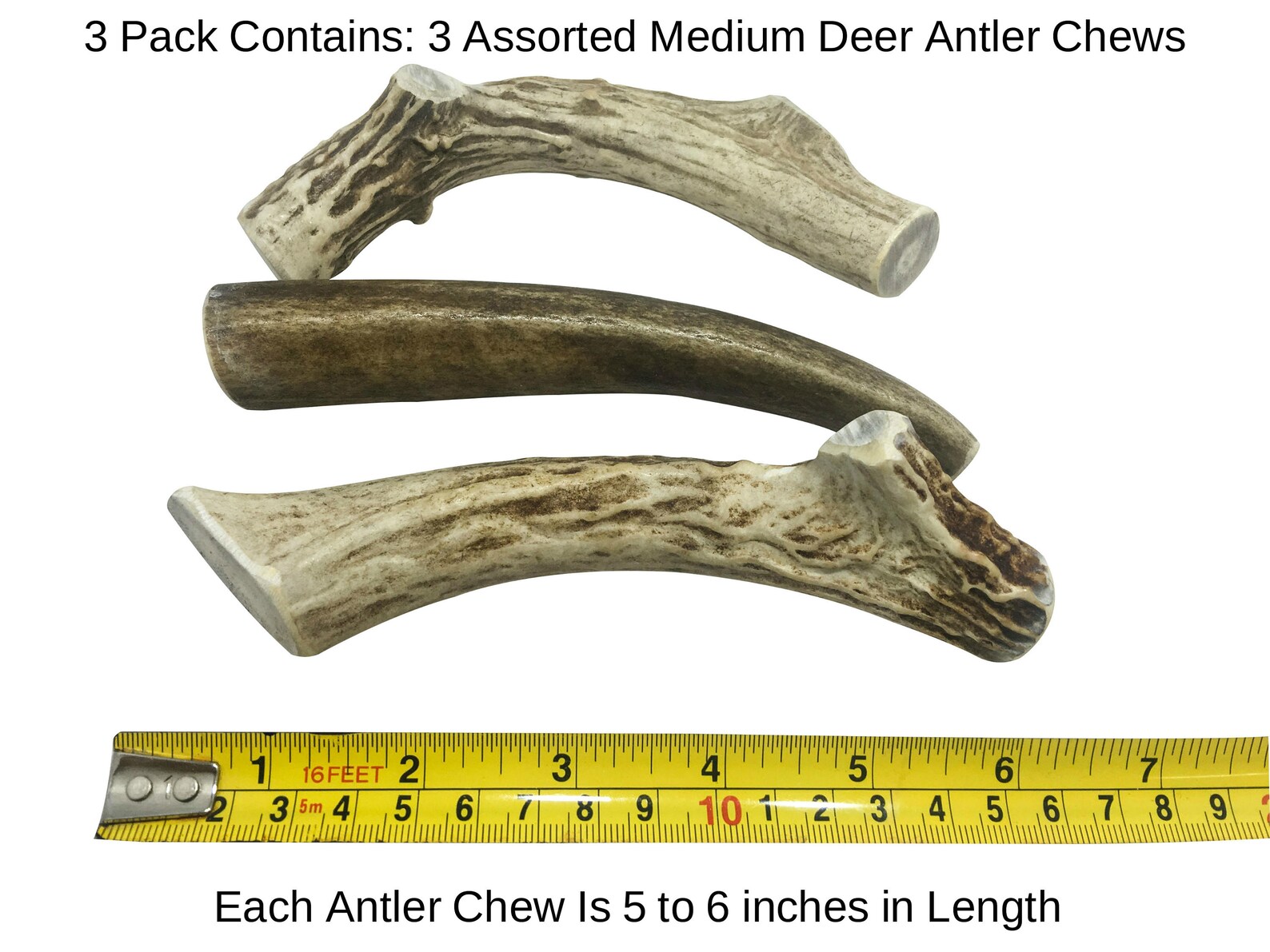 3 Pack Medium Deer Antler for Dogs All Natural Dog Chew Etsy