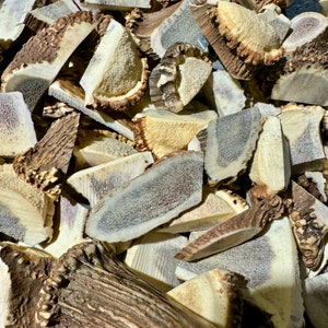 10 lbs-Deer Bulk Deer Elk Antler Scraps Pieces -Tips-Chunks -Chinese Medicine Antlers- Craft