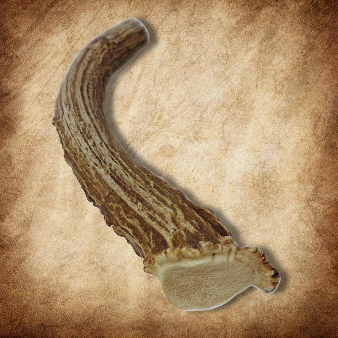 Xxlarge Thick Jumbo Deer Antler Dog Chew 810 Organic Antlers for