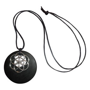 Shungite Shield  Star Flower of Life Pendant ~ healthy boundaries protection