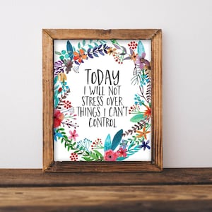 Może przedstawiać: Wydruk w ramie z akwarelowym wieńcem kwiatowym i tekstem "TODAY I WILL NOT STRESS OVER THINGS I CAN'T CONTROL".