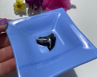 Shark Tooth Fused Glass Ring dish