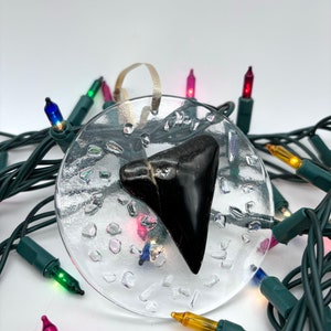 Glass Shark tooth Ornament, Decoration