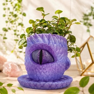 Puede incluir: Una maceta morada con forma de ojo de dragón con un platillo a juego, llena de plantas verdes con hojas. La maceta tiene una textura de escamas detallada y un ojo grande y realista. Un artículo decorativo único.