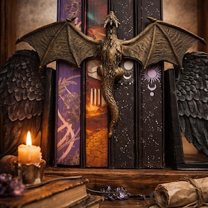 Decoración de estantería de fantasía / Protector de lomo de libro con dragón volador / Regalo para el Día de la Madre