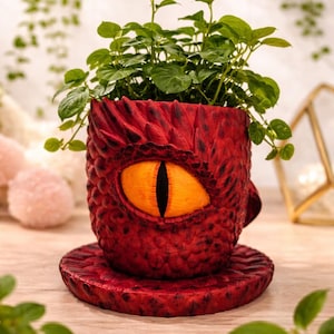 Puede incluir: Una maceta roja con temática de dragón con un diseño de ojo naranja. La maceta está llena de plantas verdes de hojas y se asienta sobre un platillo a juego. La maceta tiene un aspecto texturizado y escamoso.