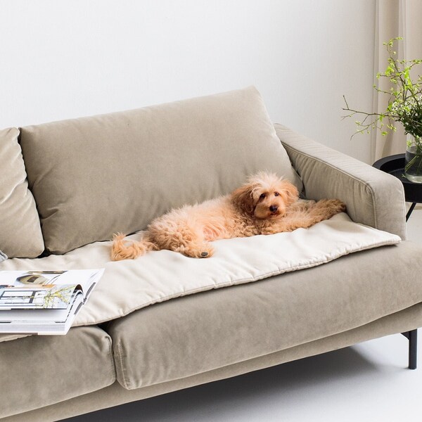 Sofa Couch for Dogs Etsy