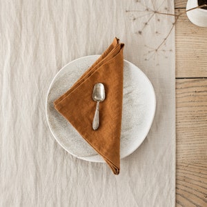 Linen napkin set of 2 Table linens, table decor Stone washed linen cloth napkins Cinnamon