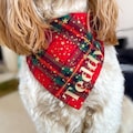 Personalised Christmas Bandana | Tartan Dog Accessory, Red Festive Check Neckwear Bandana, Dog Lover Gift Stocking Filler product logo