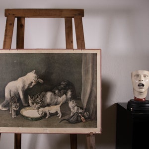 Lithographie ancienne sur carton représentant un tableau scolaire de chats