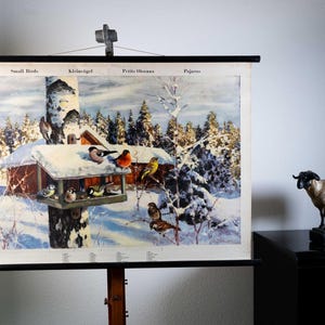 Peut inclure: Une affiche pédagogique vintage représentant une scène de forêt hivernale avec divers petits oiseaux sur une mangeoire en bois, avec les inscriptions Small Birds, Kleinvögel, Petits Oiseaux et Pájaros, montée sur un support en bois.