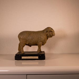 Peut inclure: Une figurine de mouton texturée de couleur beige, posée sur un socle rectangulaire noir. Le socle comporte une petite plaque métallique centrée avec le texte "SHROPSHIRE SHEEP" clairement visible. Le mouton est représenté de profil, tourné vers la droite.