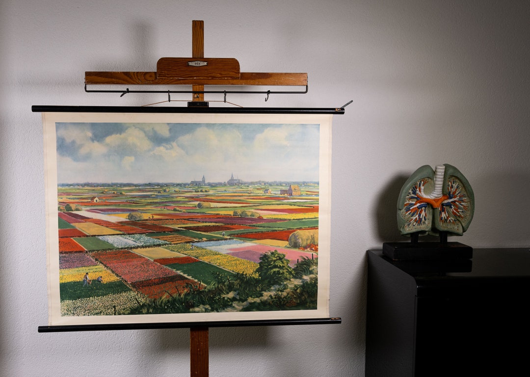 Vintage Pull Down Chart Flowerfields in the Netherlands School - Etsy