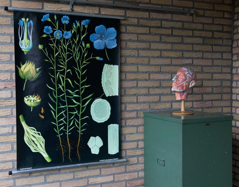USA outlet deals discounts Vintage Pull Down School Chart ...