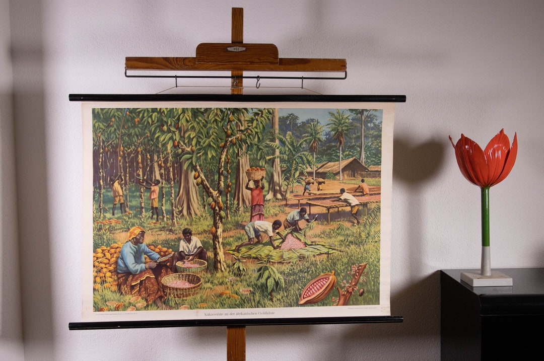 Vintage Pull Down Chart Cocoa Harvest School Chart Lithograph - Etsy