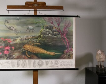 Original Vintage School Pull Down Chart Map / Motif Rye | Jung Koch ...