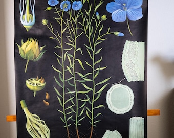 Vintage Pull Down School Chart Flax by Jung Koch Quentell - Etsy