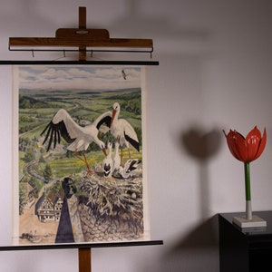 Puede incluir: Un cartel educativo vintage que representa cigüeñas blancas en un nido sobre un tejado, con vistas a un paisaje rural con un pueblo, montado en un marco de madera, acompañado de una escultura de metal en forma de tulipán rojo sobre una base.