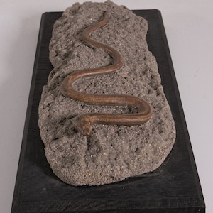 May include: A brown, snake-like slow worm sculpture resting on a textured, grey, sand-like base. The entire piece is mounted on a rectangular black wooden plaque. A small white label at the bottom reads Blindschleiche Anguis fragilis L.