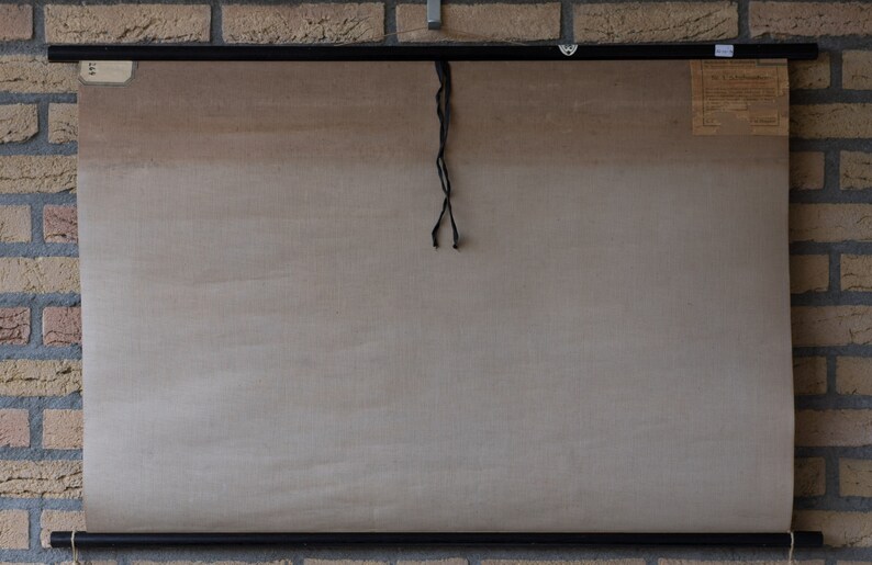 Vintage Pull Down Chart Shoemaker School Chart - Etsy
