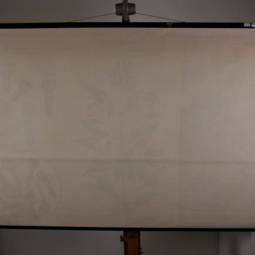 Vintage Pull Down Chart Clove School Chart shops