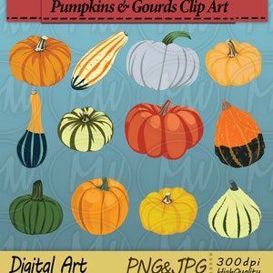 Pumpkin clipart, Fall clipart, Autumn clipart, Digital clipart, Gourds, Illustration, Pumpkins, Fall, Autumn, Vector clipart, #144