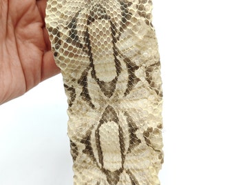 Gabonica slangenschuur voor het maken van sieraden/eigenaardigheden