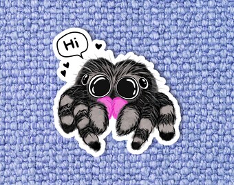 Cute jumping spider sticker, Funny sticker, Laptop sticker, Spider sticker, Cute spider sticker, Jumping spider sticker, Cute animal sticker