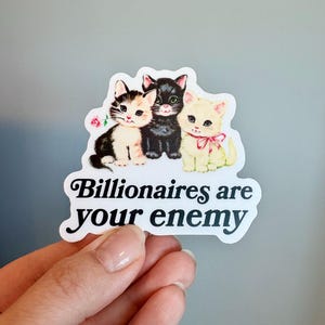 May include: A die-cut sticker featuring three kittens: a calico holding a pink flower, a black kitten, and a cream-colored kitten with a pink bow. Below the kittens, the text reads: Billionaires are your enemy in a bold black serif font.