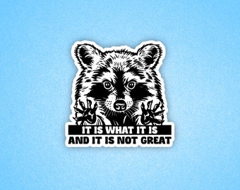 It is what it is and it's not great sticker, Raccoon sticker, Funny sticker, Laptop sticker, Raccoon meme sticker, Funny Trash Panda sticker