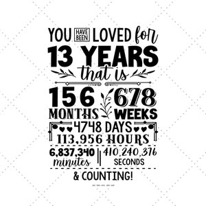 13 Shirt, Geschenk für Teenager, Geschenk für Nichte, Teen Boy Geschenk, Geschenke für Teenager, 13.